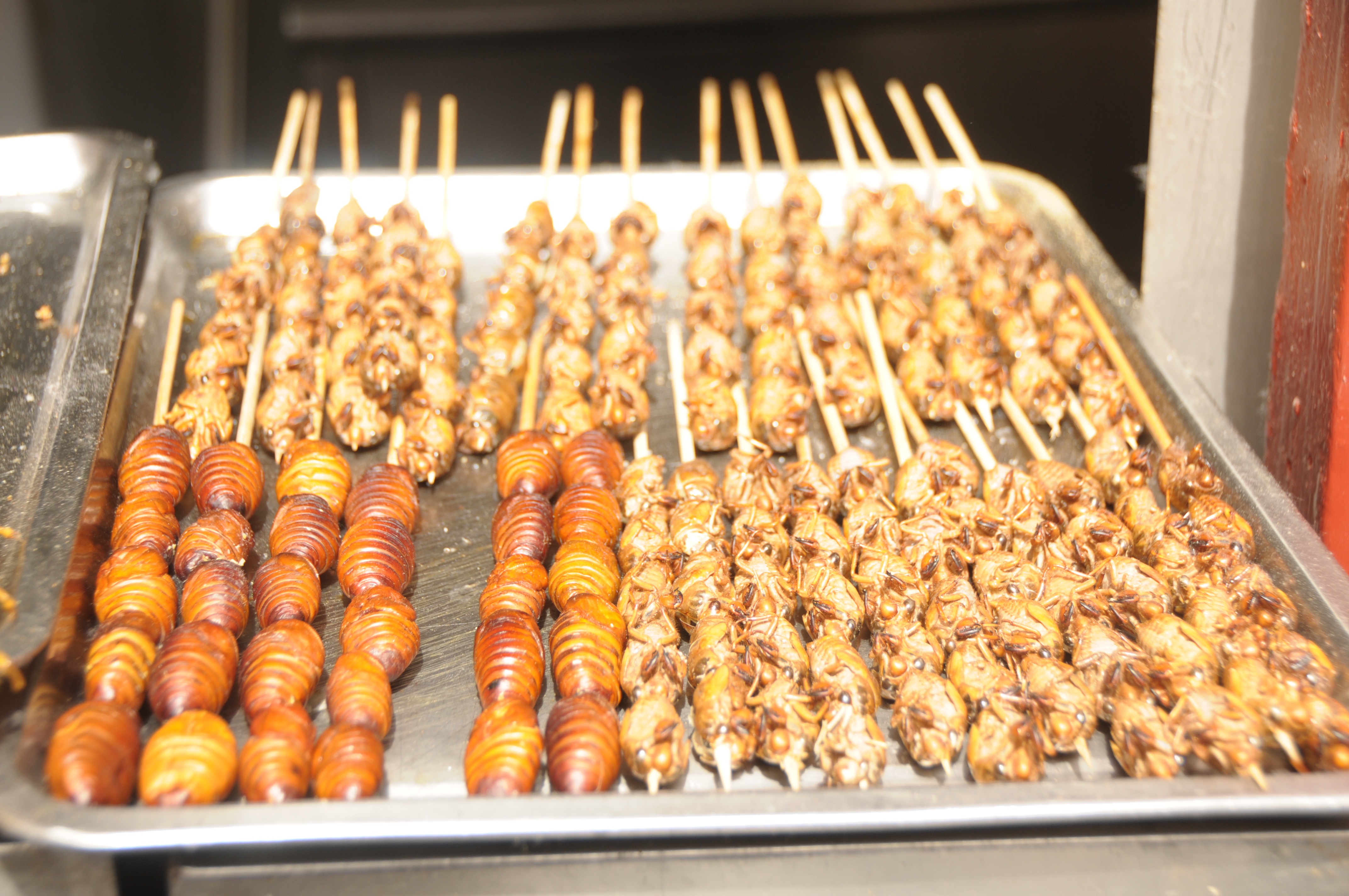 20170506_2_23513538_21788793