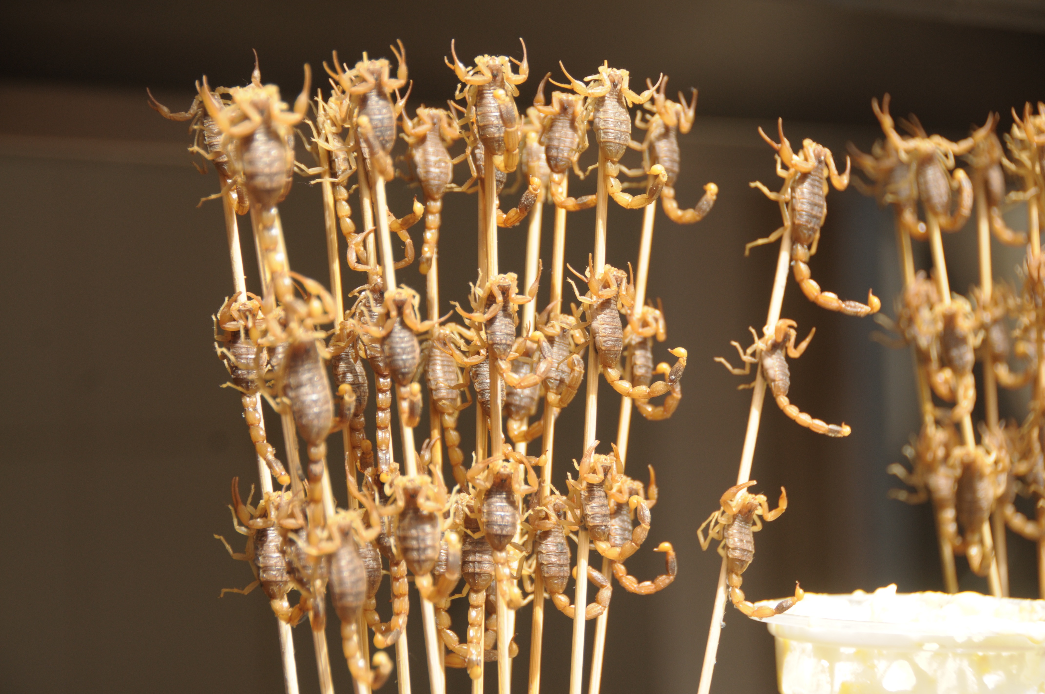 20170506_2_23513538_21788794