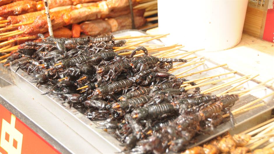 20170506_2_23513538_21788804