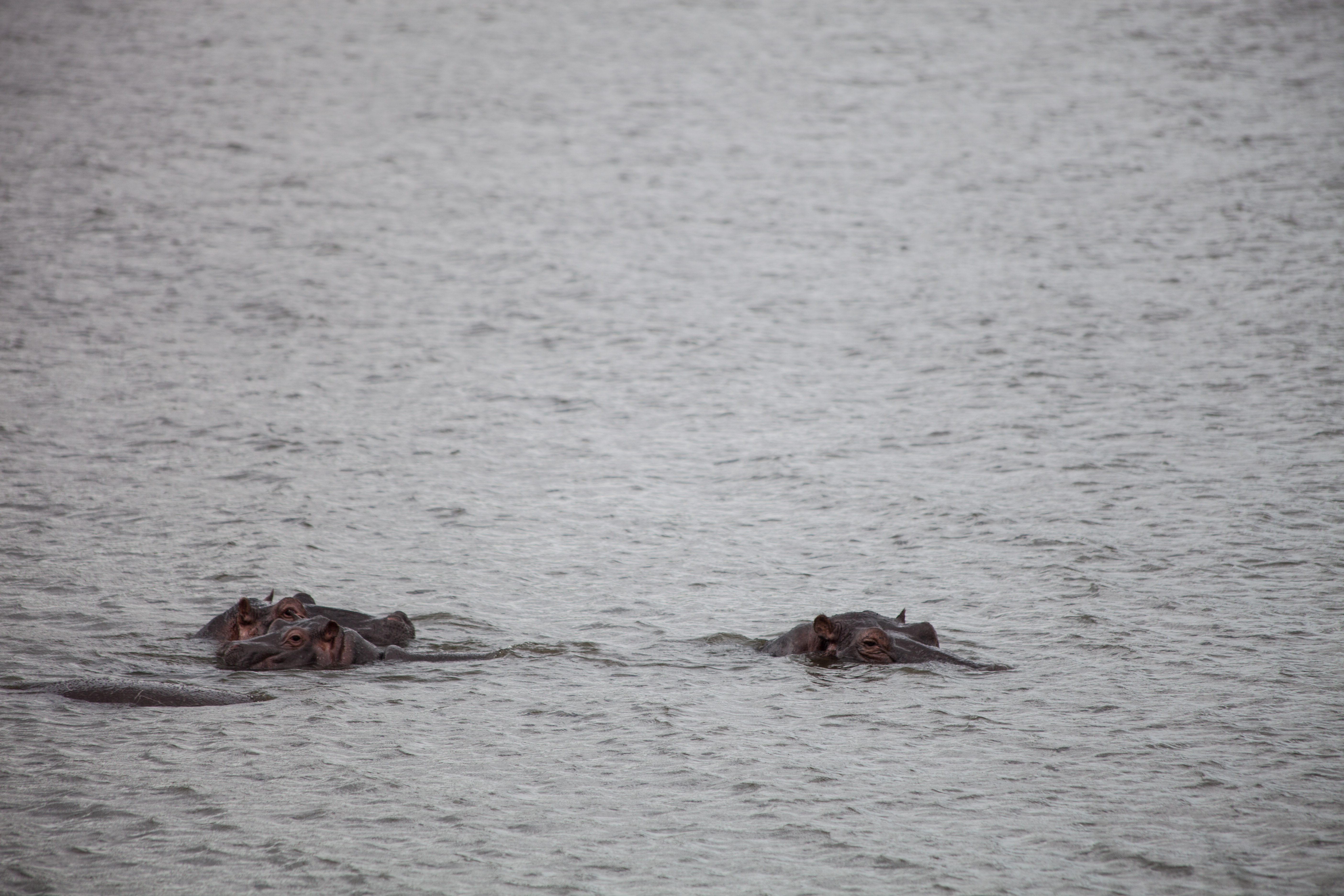 20170515_2_23678697_22110208