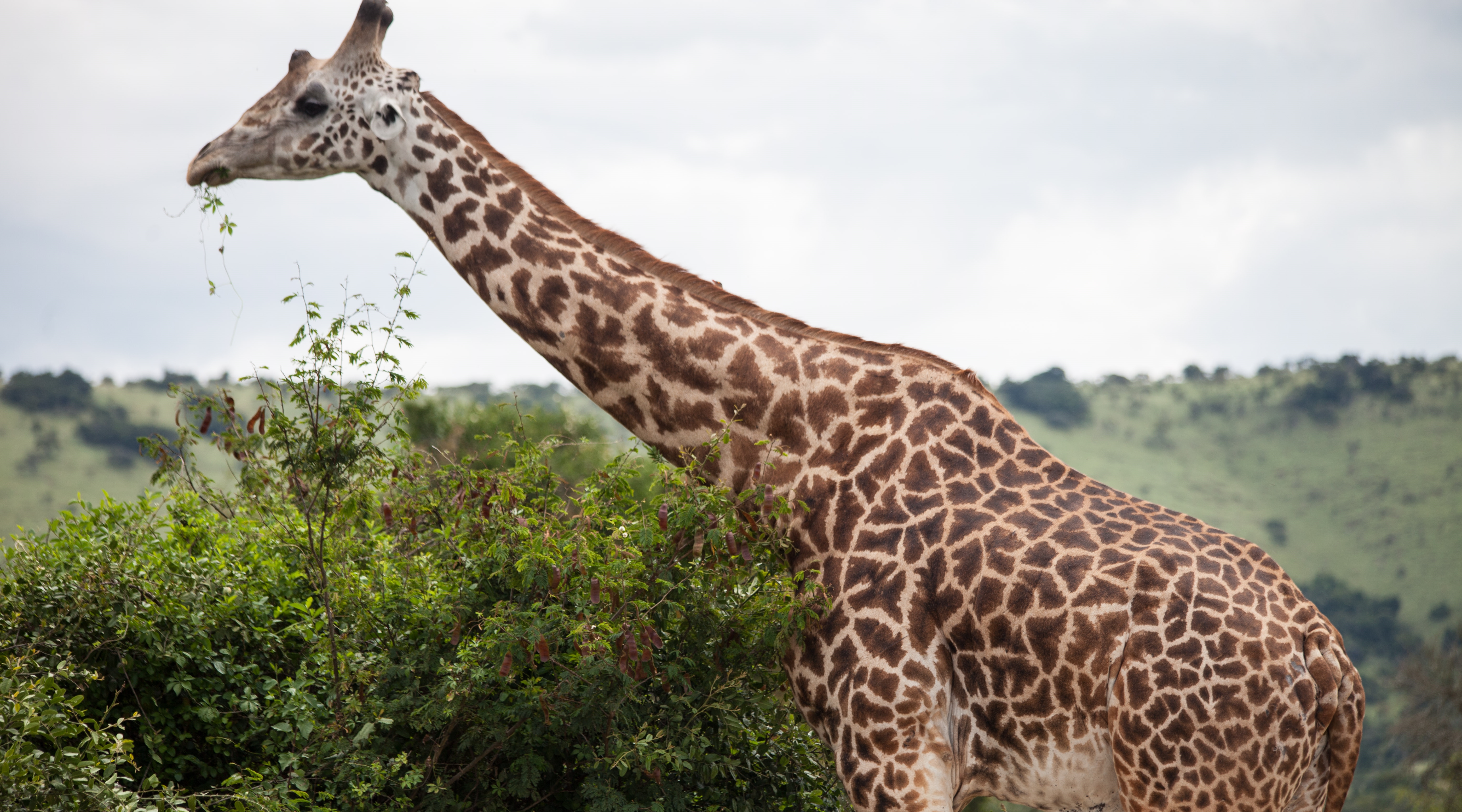 20170515_2_23678697_22110209