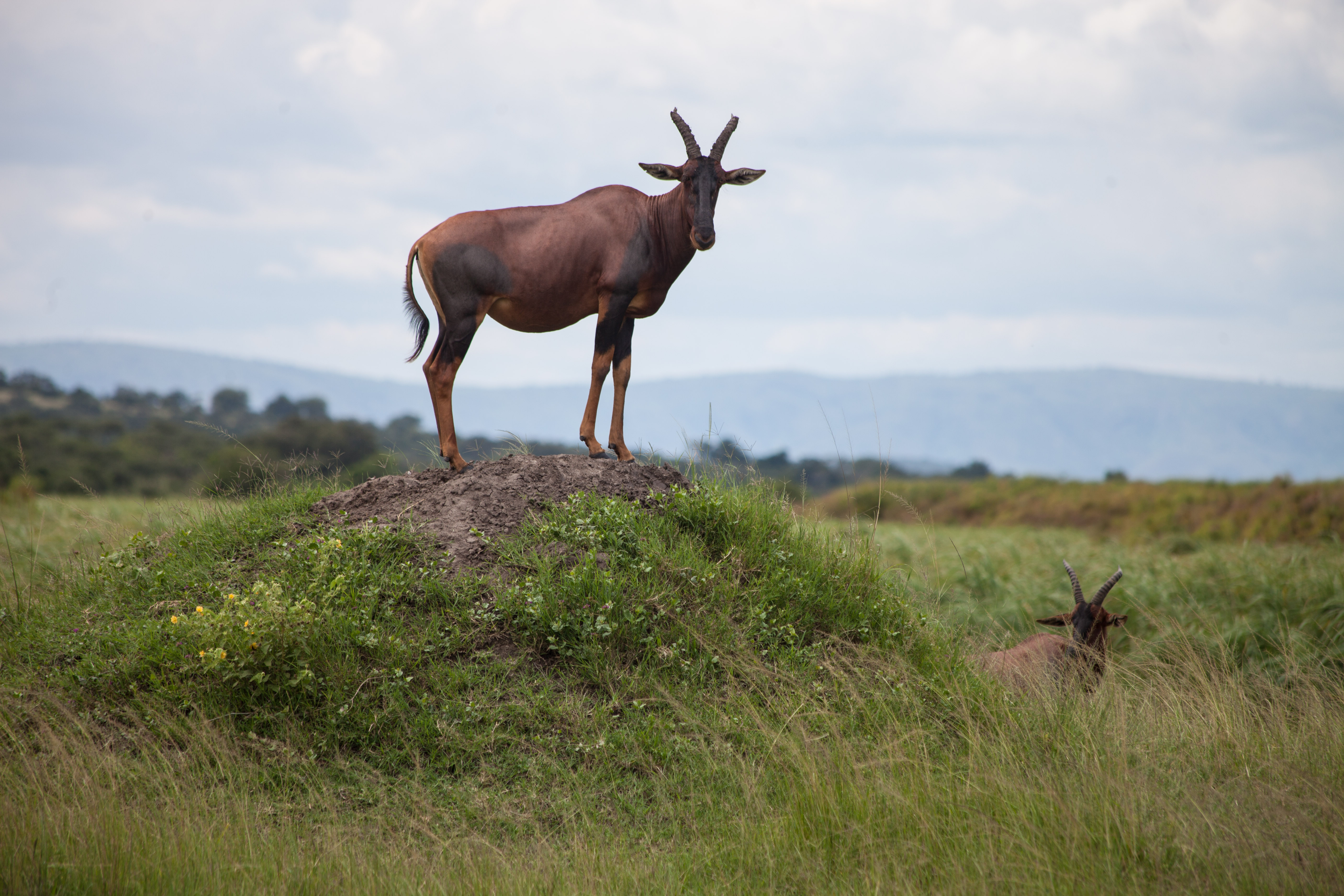 20170515_2_23678697_22110210