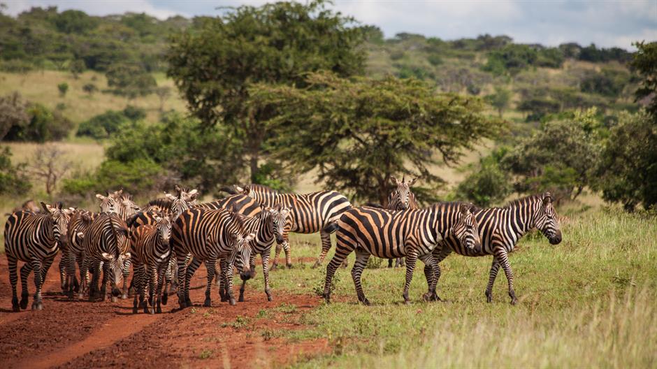 20170515_2_23678697_22110215