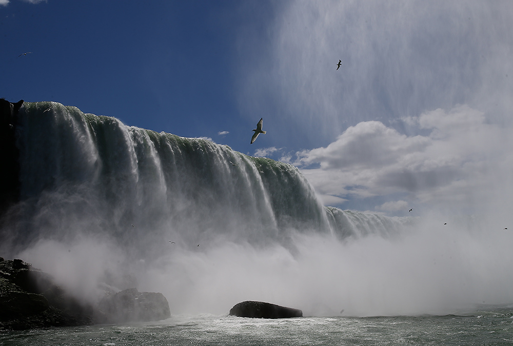 ANADOLIJA/Volkan Furuncu