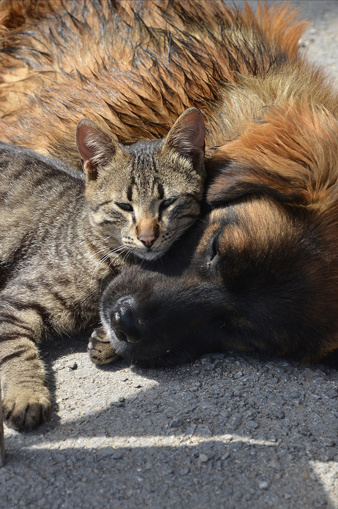 20170527_2_23918240_22580124