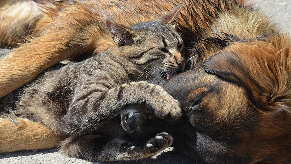 20170527_2_23918240_22580126 11