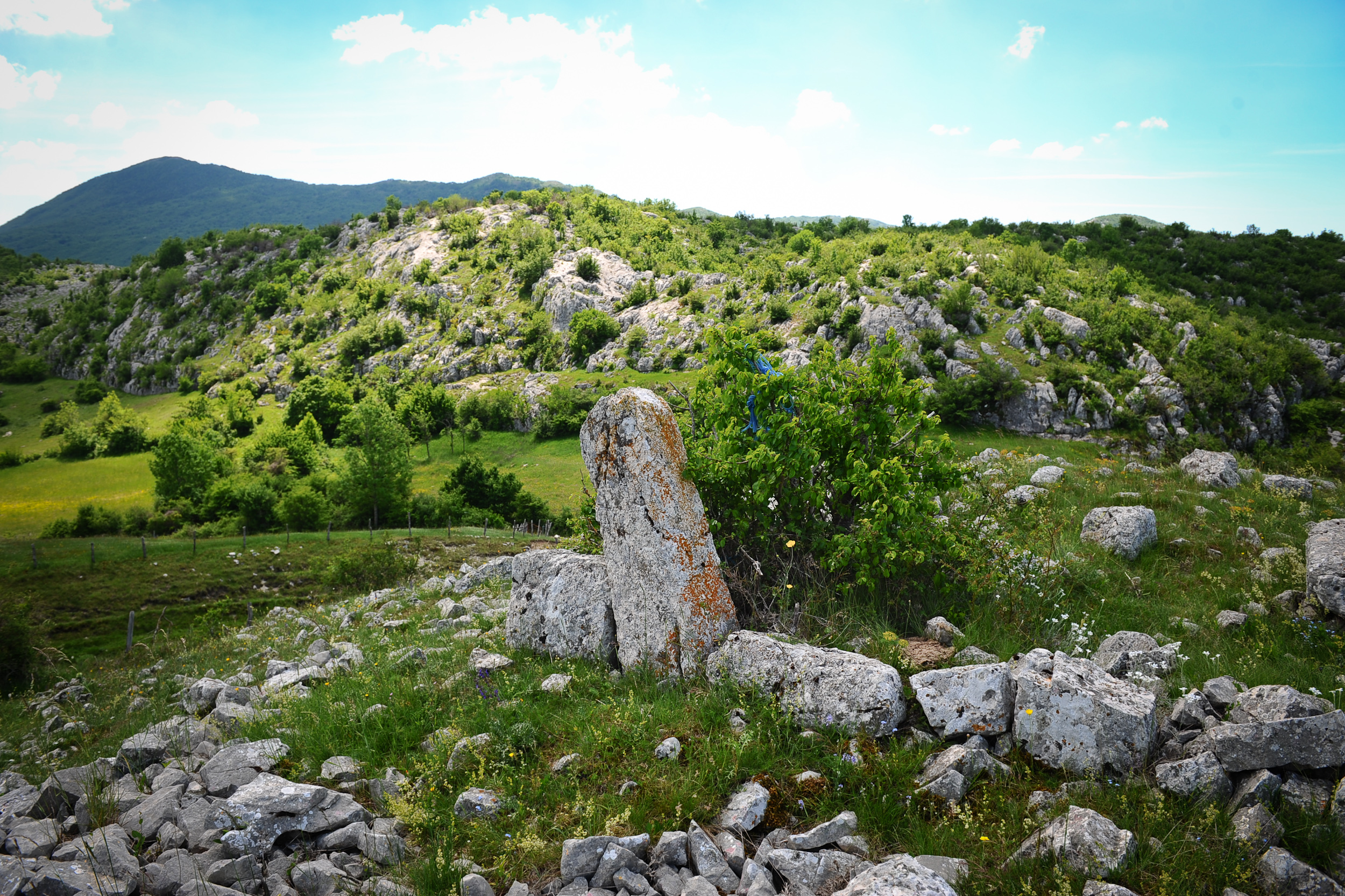 20170604_2_24047954_22841059