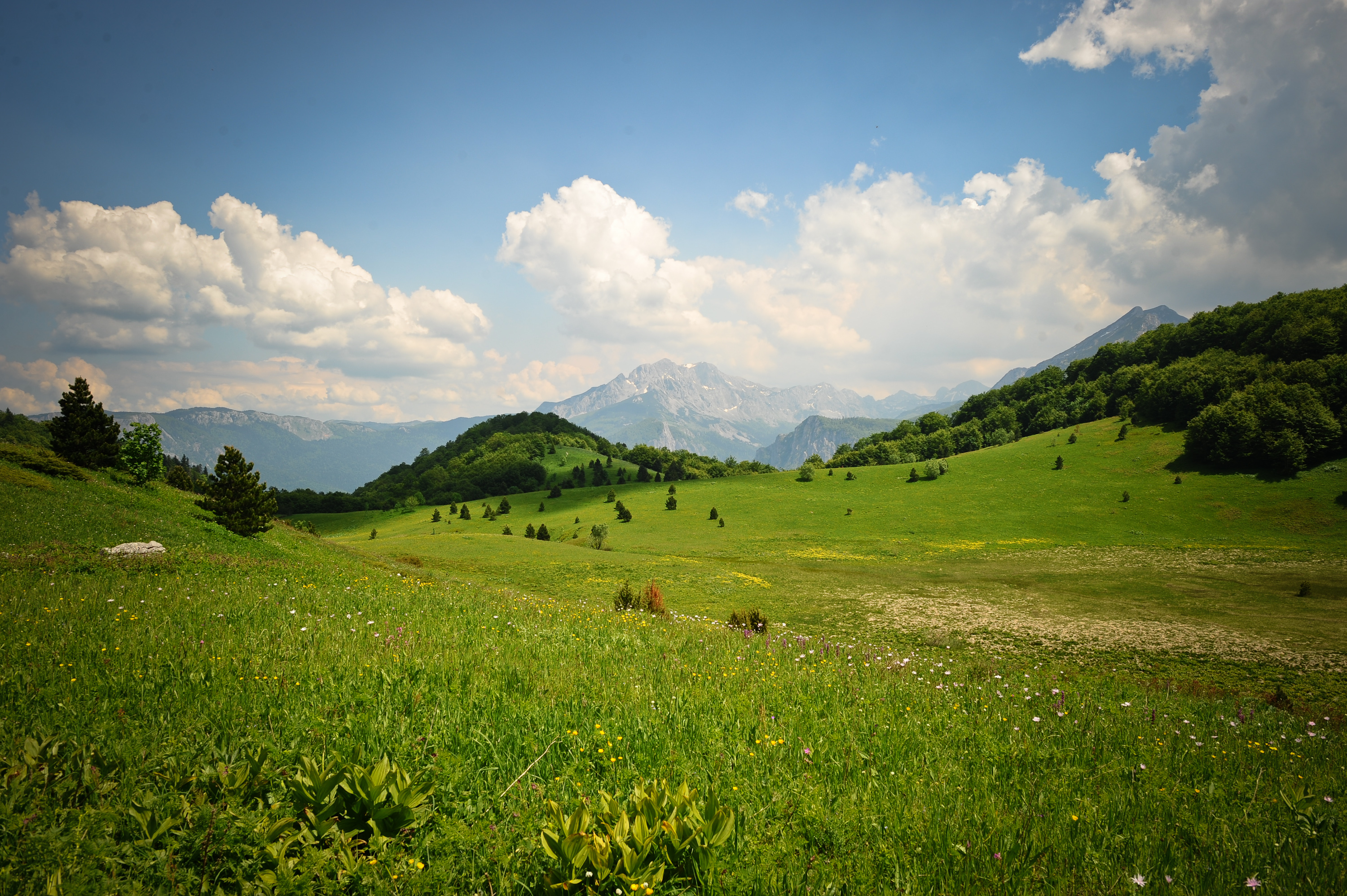 20170616_2_24270954_23212133