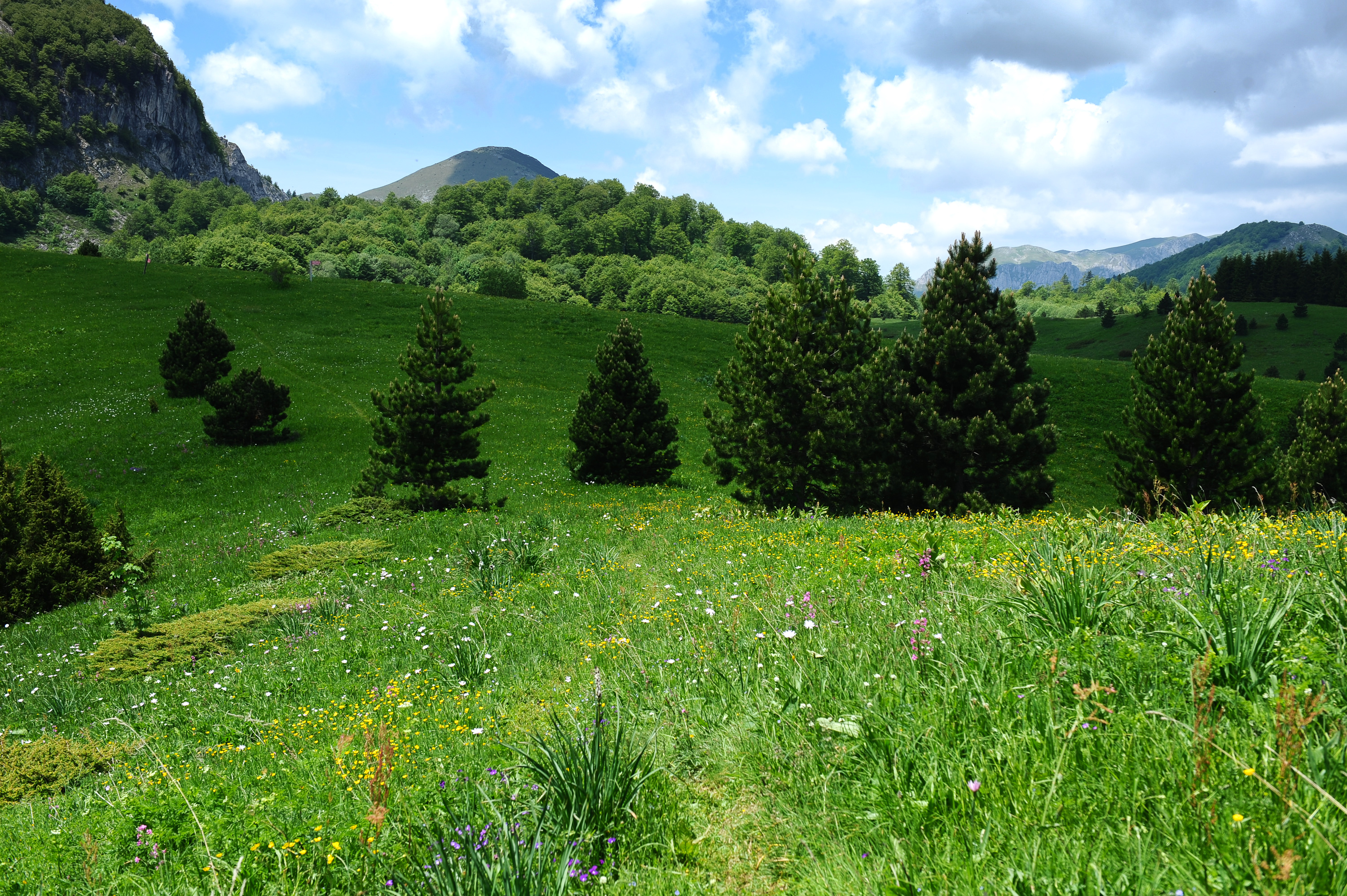 20170616_2_24270954_23212134