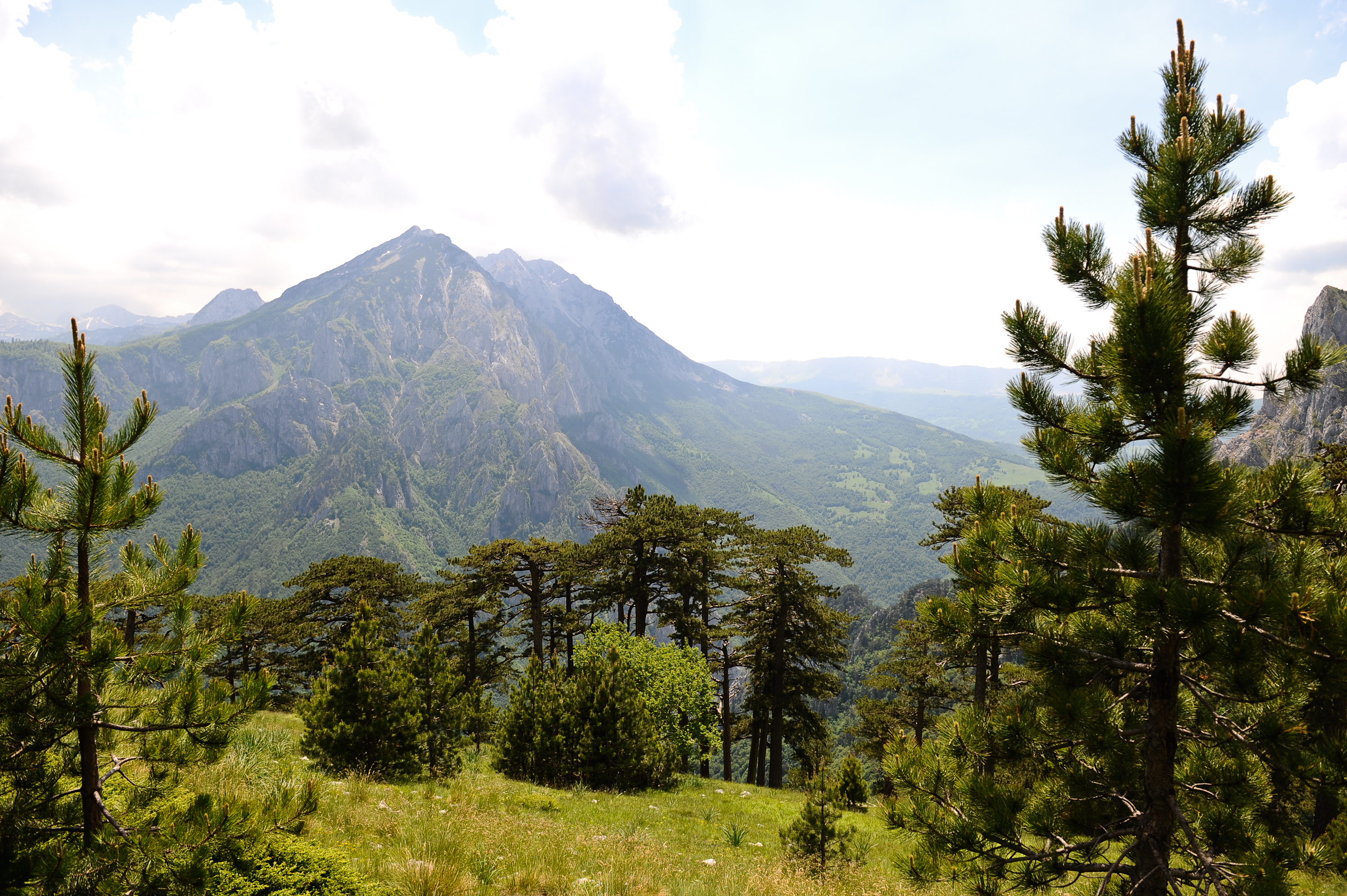 20170616_2_24270954_23212136