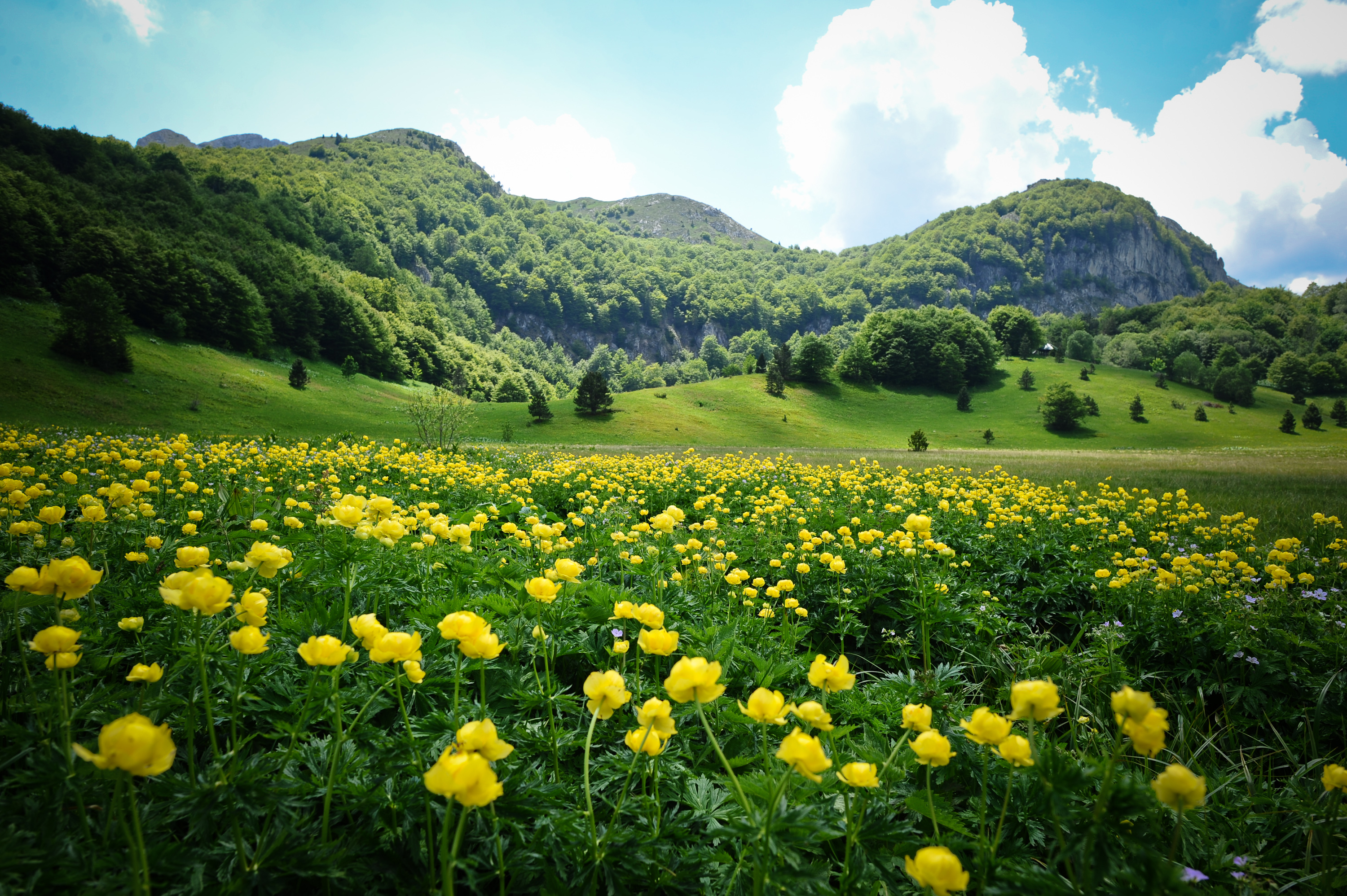 20170616_2_24270954_23212137