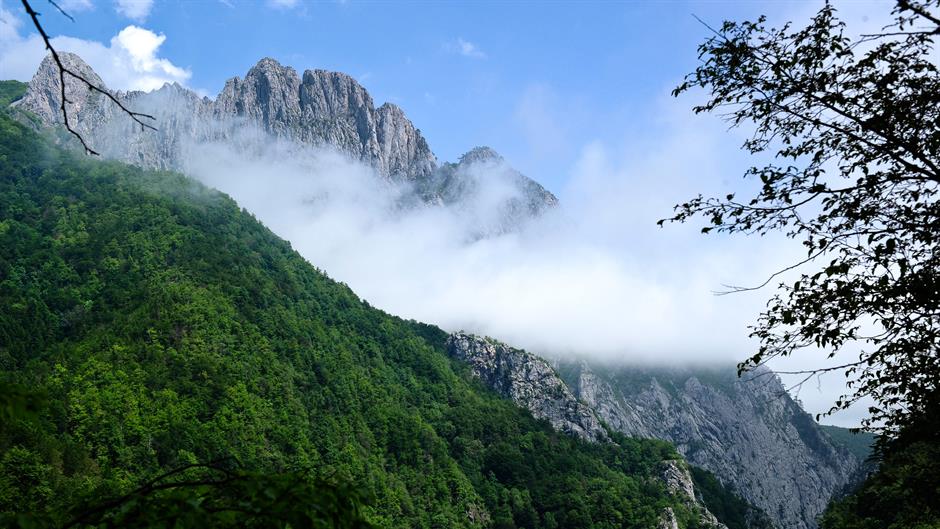 20170616_2_24270954_23212143