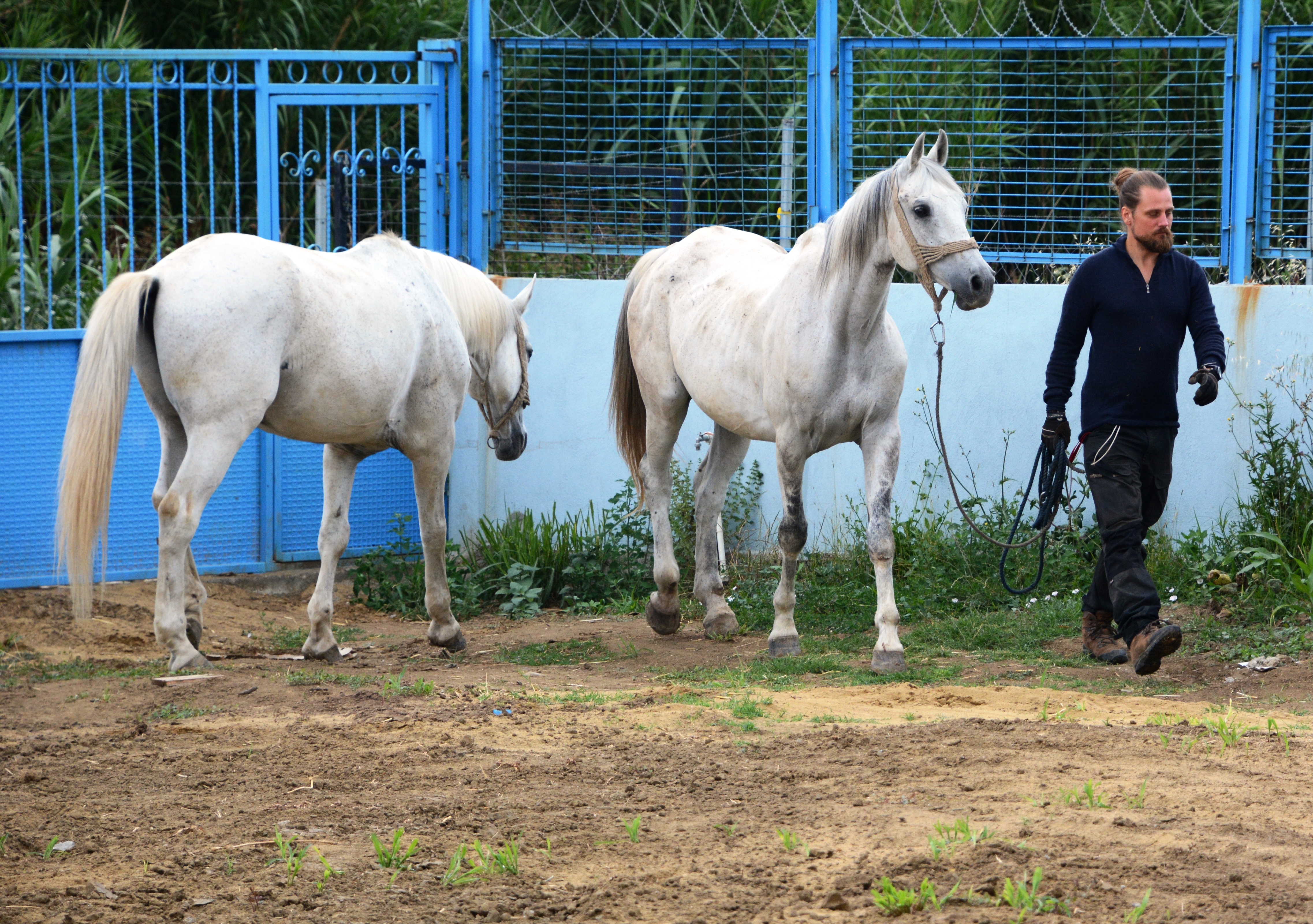 20170620_2_24322557_23303580