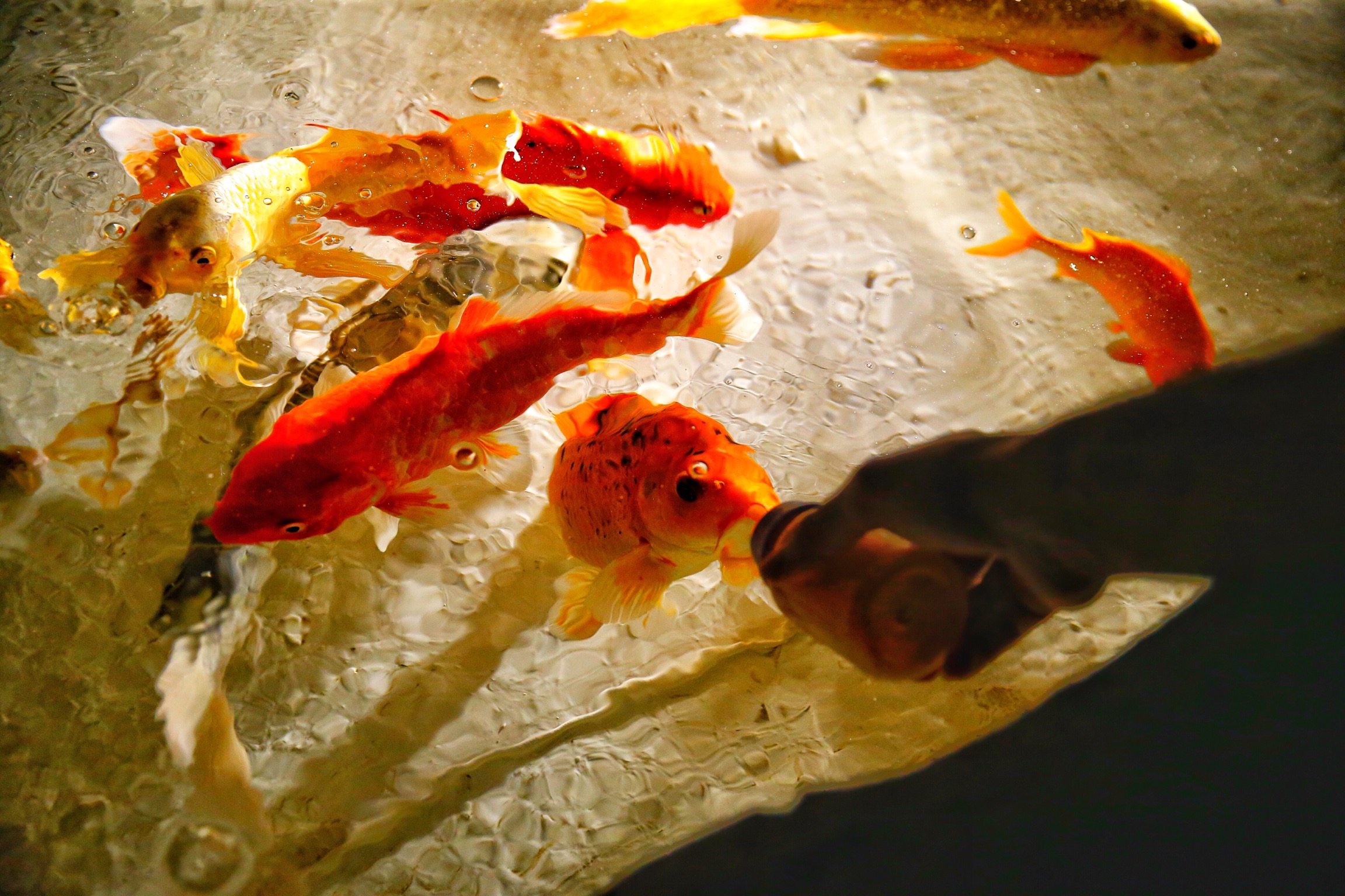 20170626_2_24427487_23519948