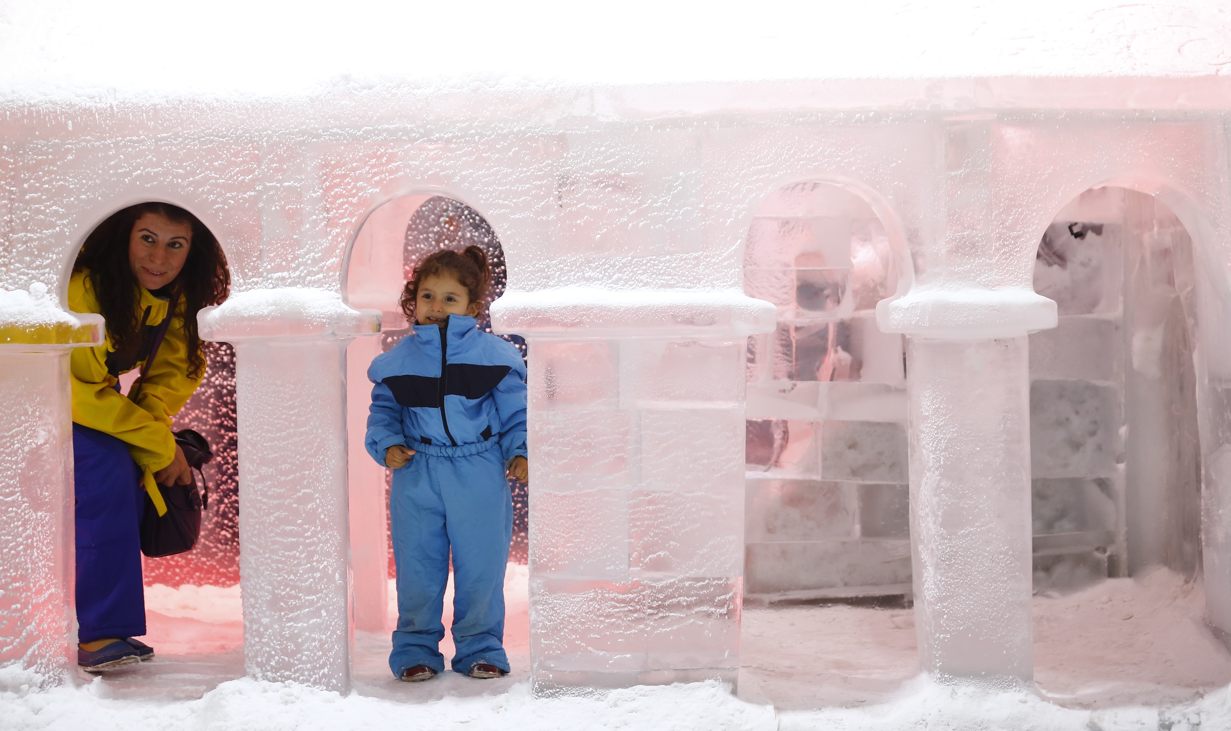 20170701_2_24504478_23657748