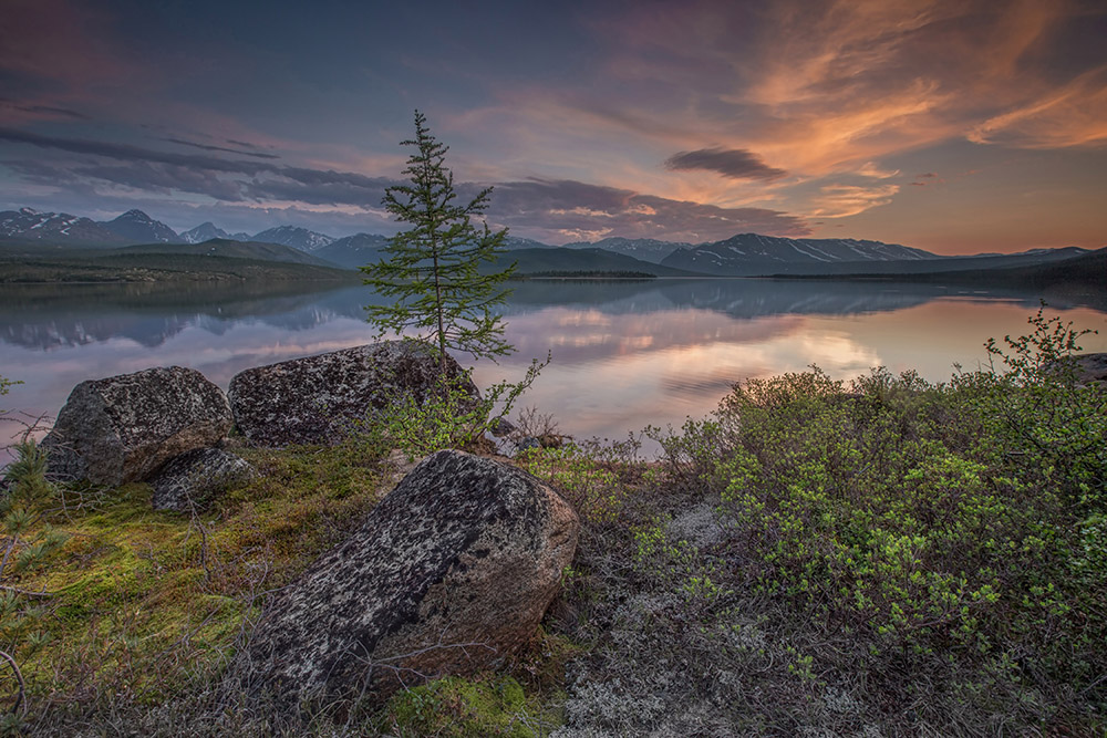 20170710_2_24644180_23907481