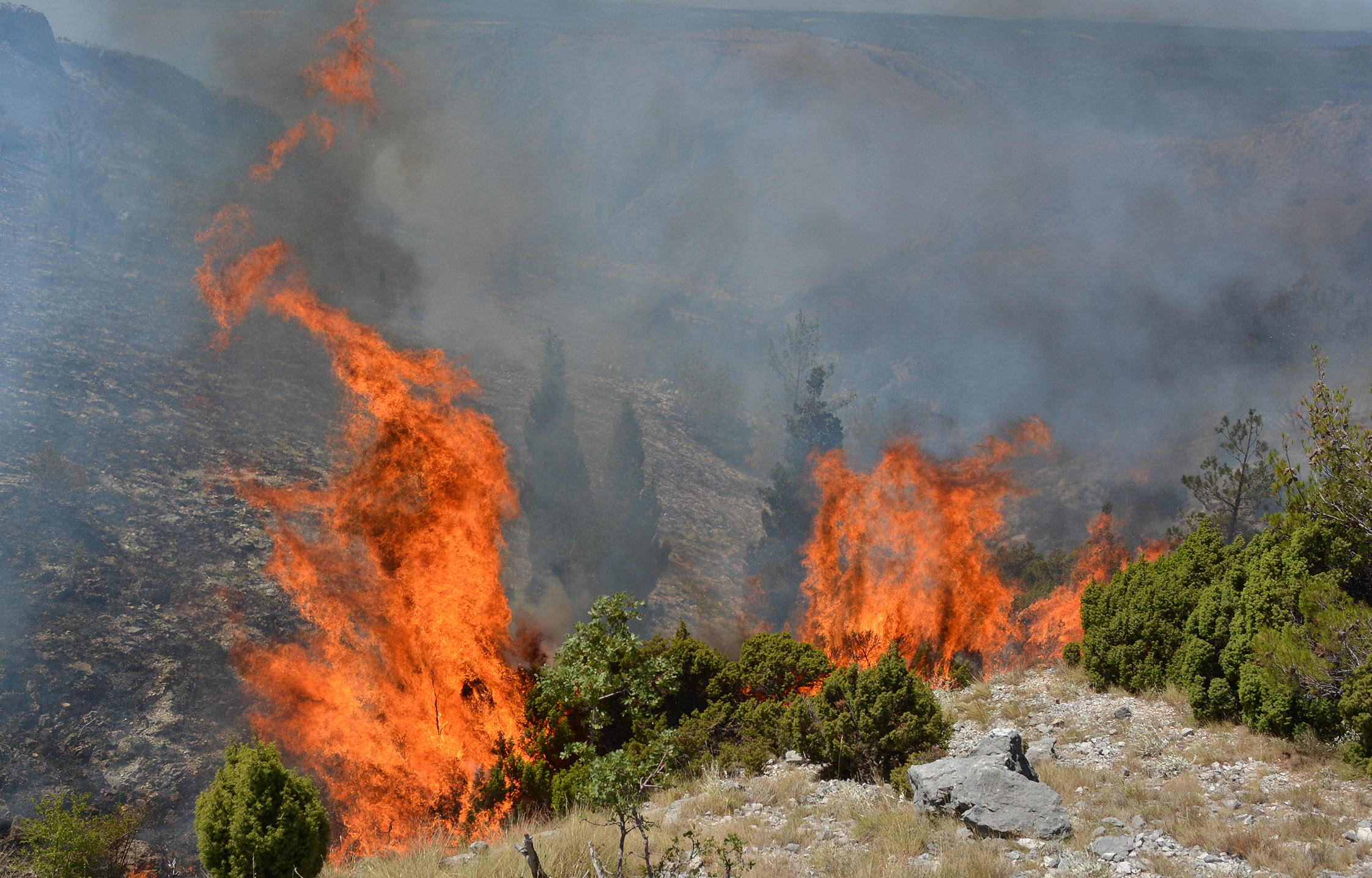 ANADOLIJA/Zeljko Milicevic