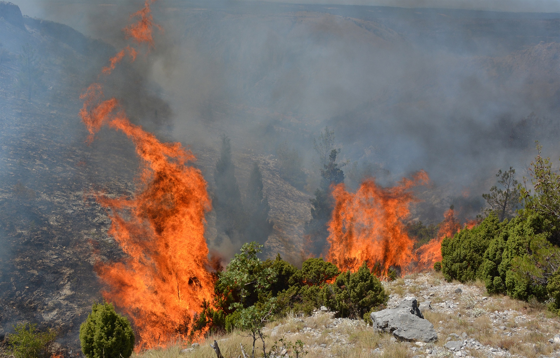 20170715_2_24756808_24107404