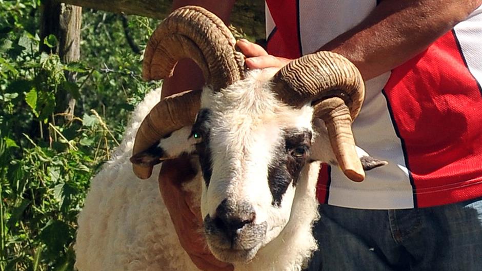 20170716_2_24778908_24179943