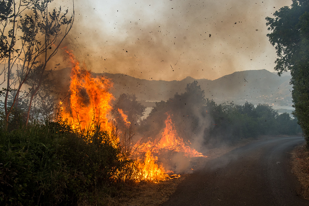 ANADOLIJA/Adel Ömeragiç