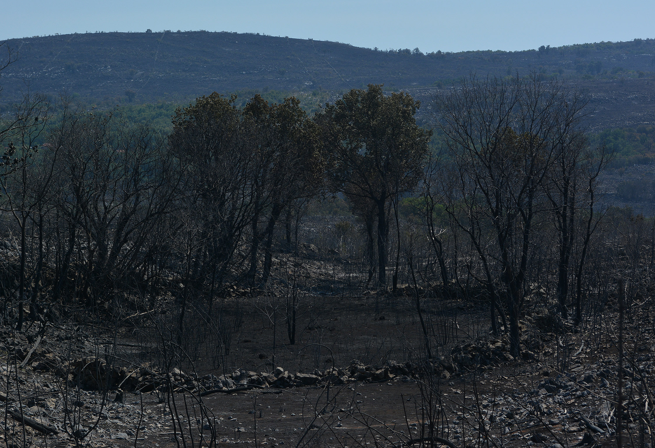 20170718_2_24819700_24251477