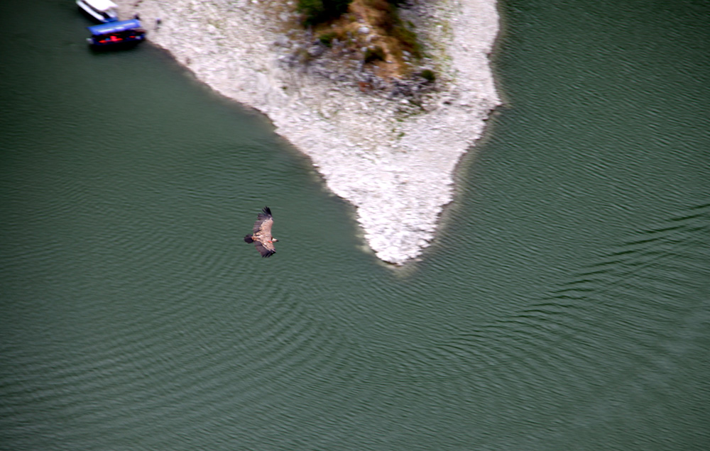 20170730_2_25008843_24560820