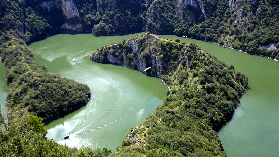 20170730_2_25008882_24560948 1