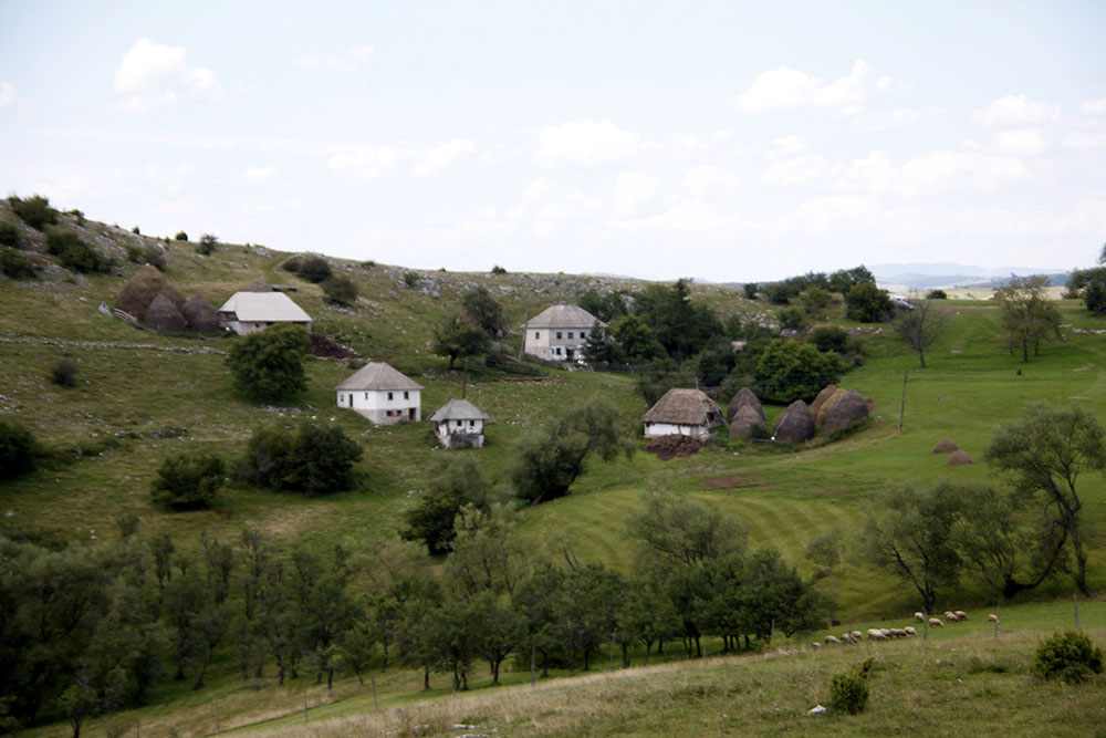 ANADOLIJA/Medin Halilović