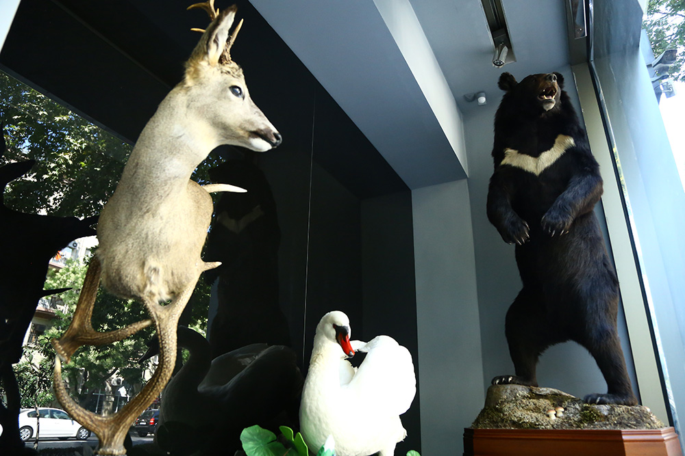 ANADOLIJA/Resul Rehimov