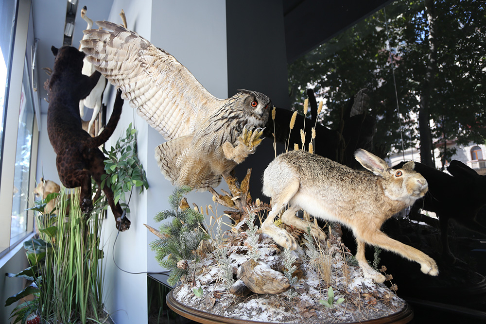 ANADOLIJA/Resul Rehimov