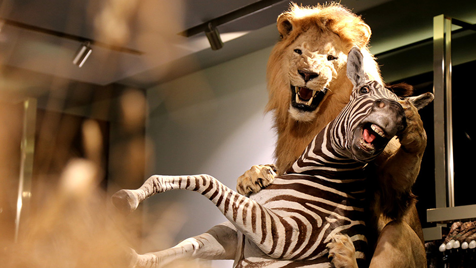 20170731_2_25027346_24593494 1