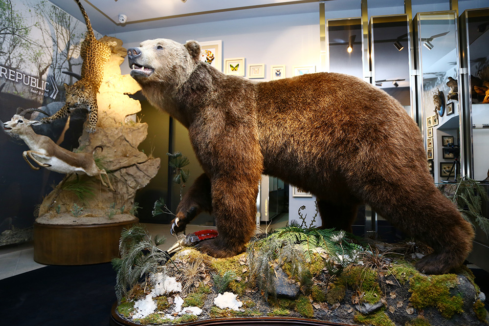 ANADOLIJA/Resul Rehimov