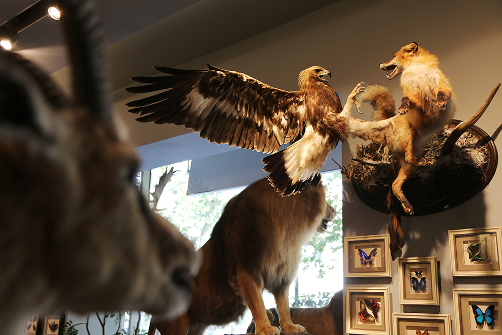 ANADOLIJA/Resul Rehimov