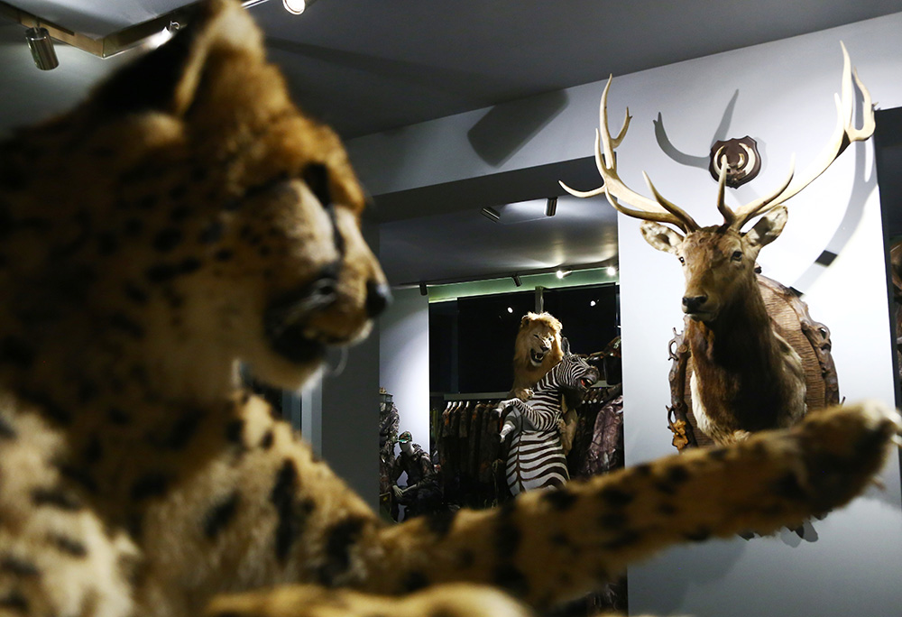 20170731_2_25027346_24593525