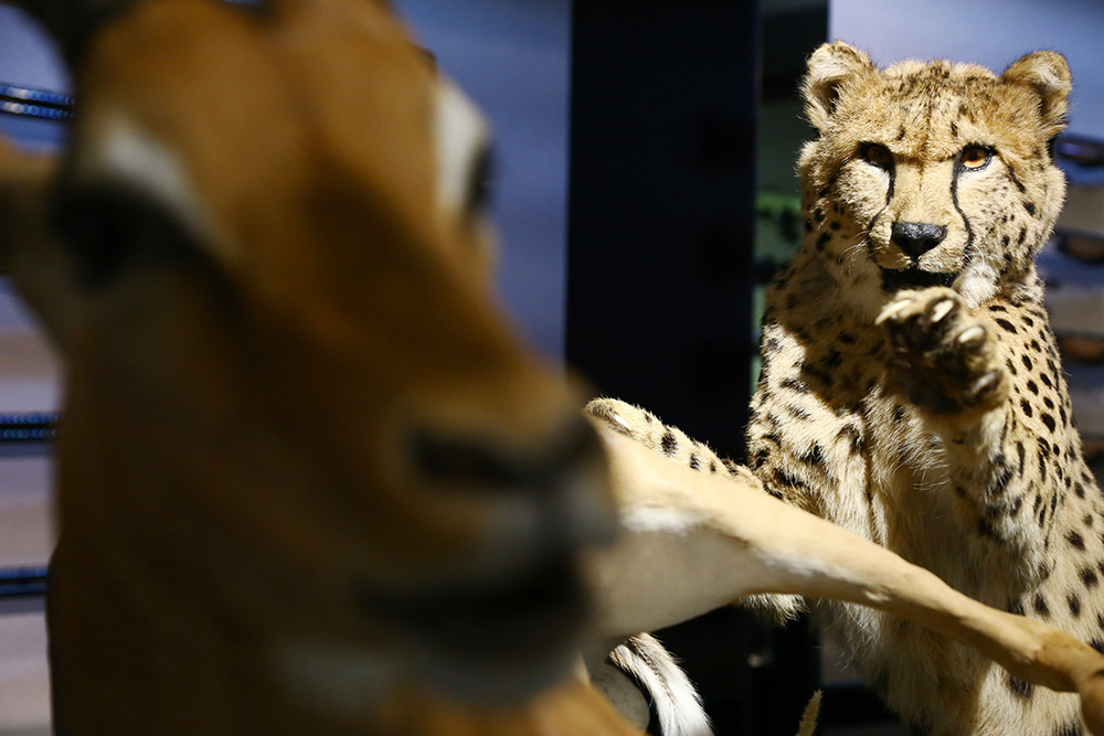 20170731_2_25027346_24593527