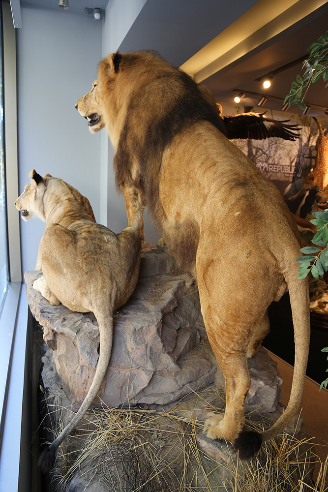 20170731_2_25027346_24593529