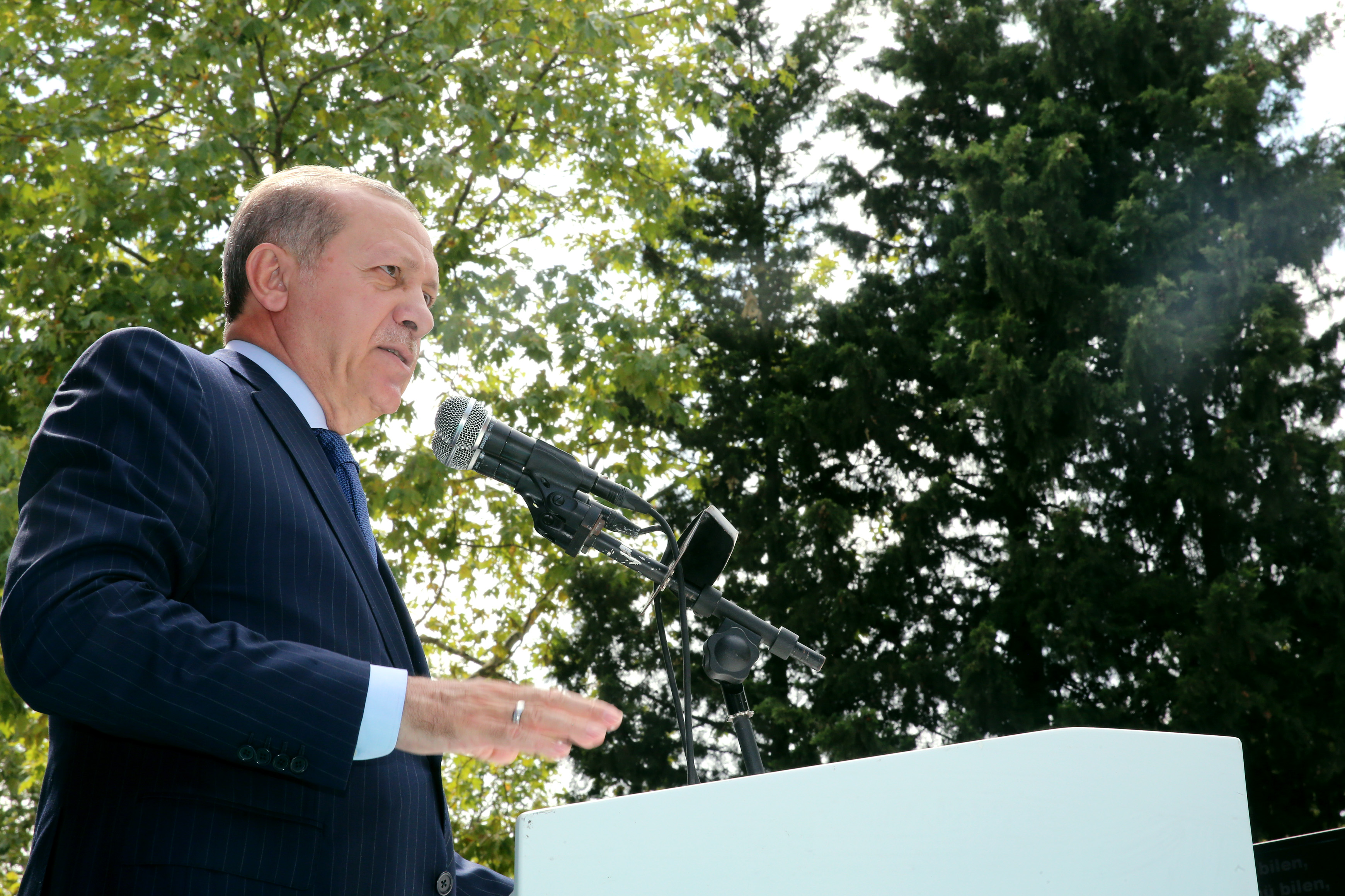 20170804_2_25093285_24687913