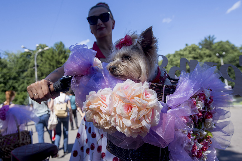 ANADOLIJA/Nikita Shvetsov