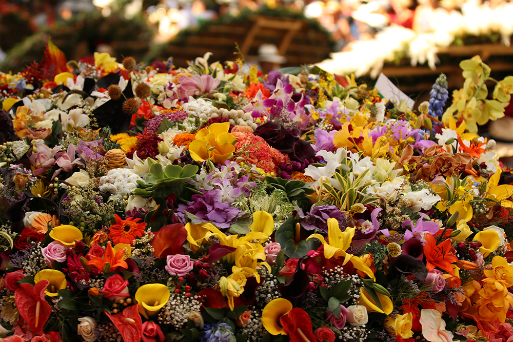 20170808_2_25139369_24777595