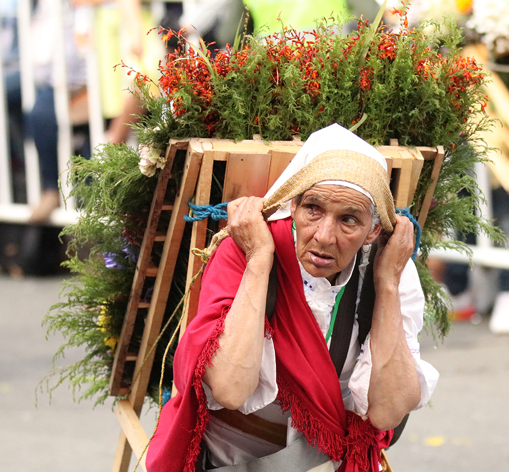 ANADOLIJA/Lokman İlhan