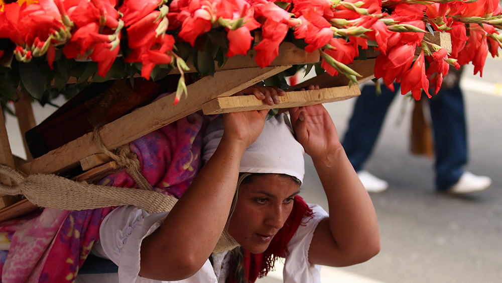 ANADOLIJA/Lokman İlhan