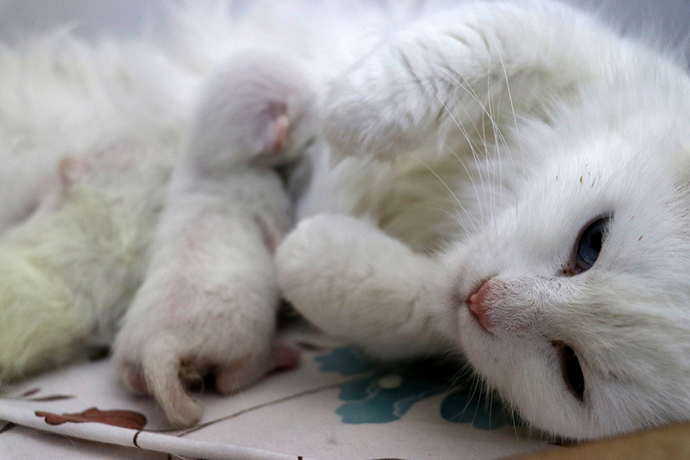 20170815_2_25254424_24961166