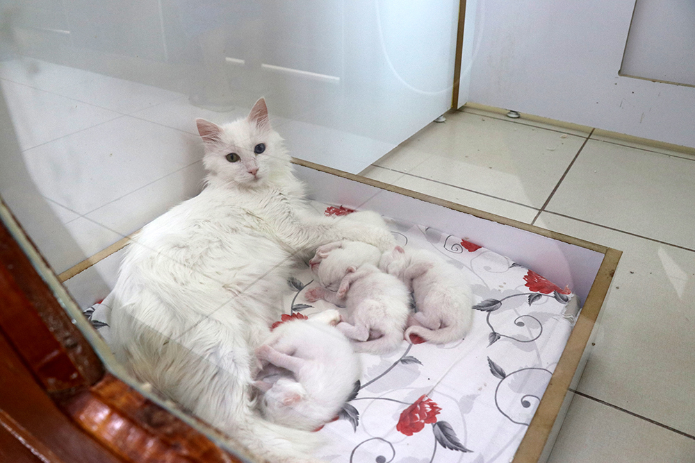 20170815_2_25254424_24961170