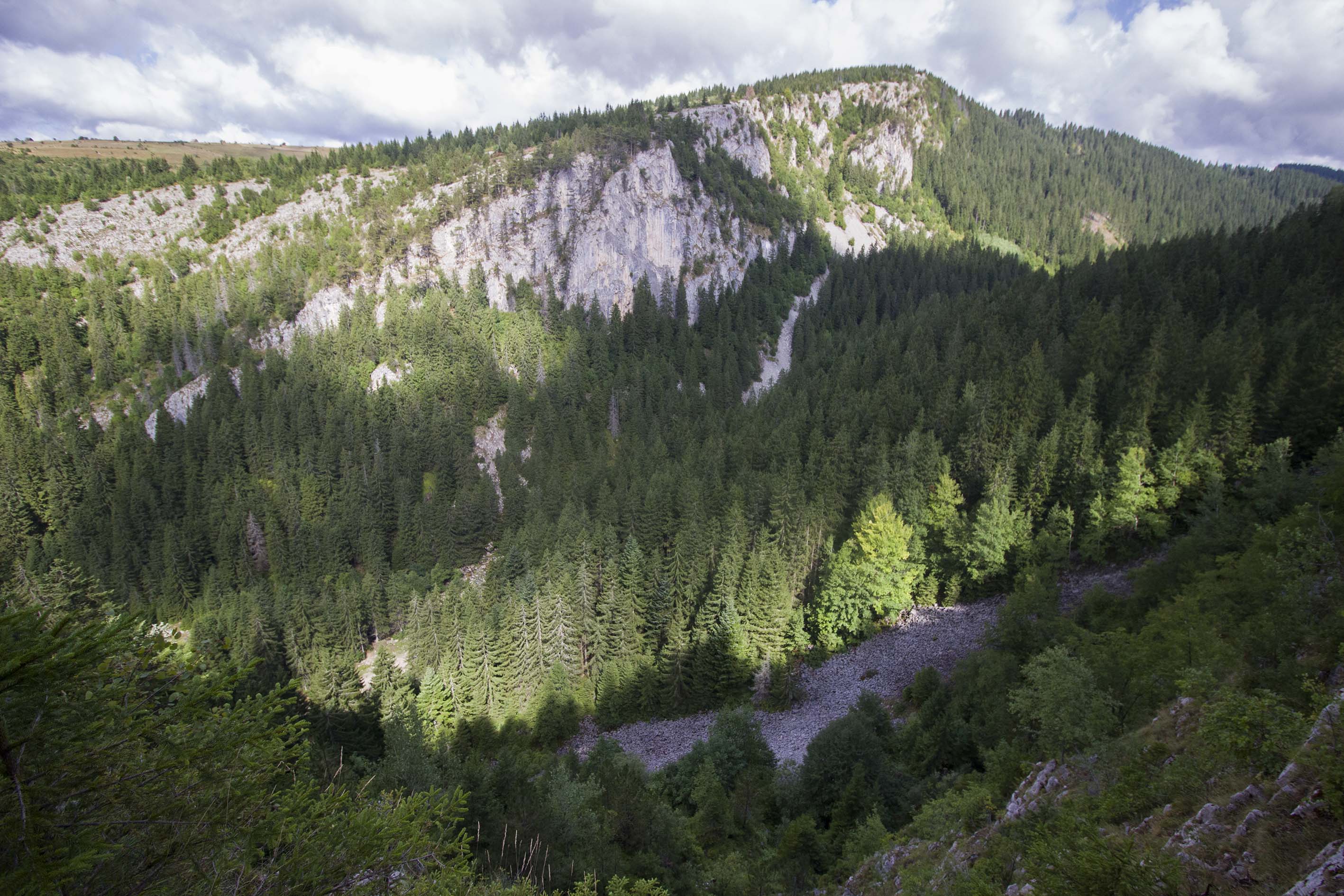 20170821_2_25352866_25126936