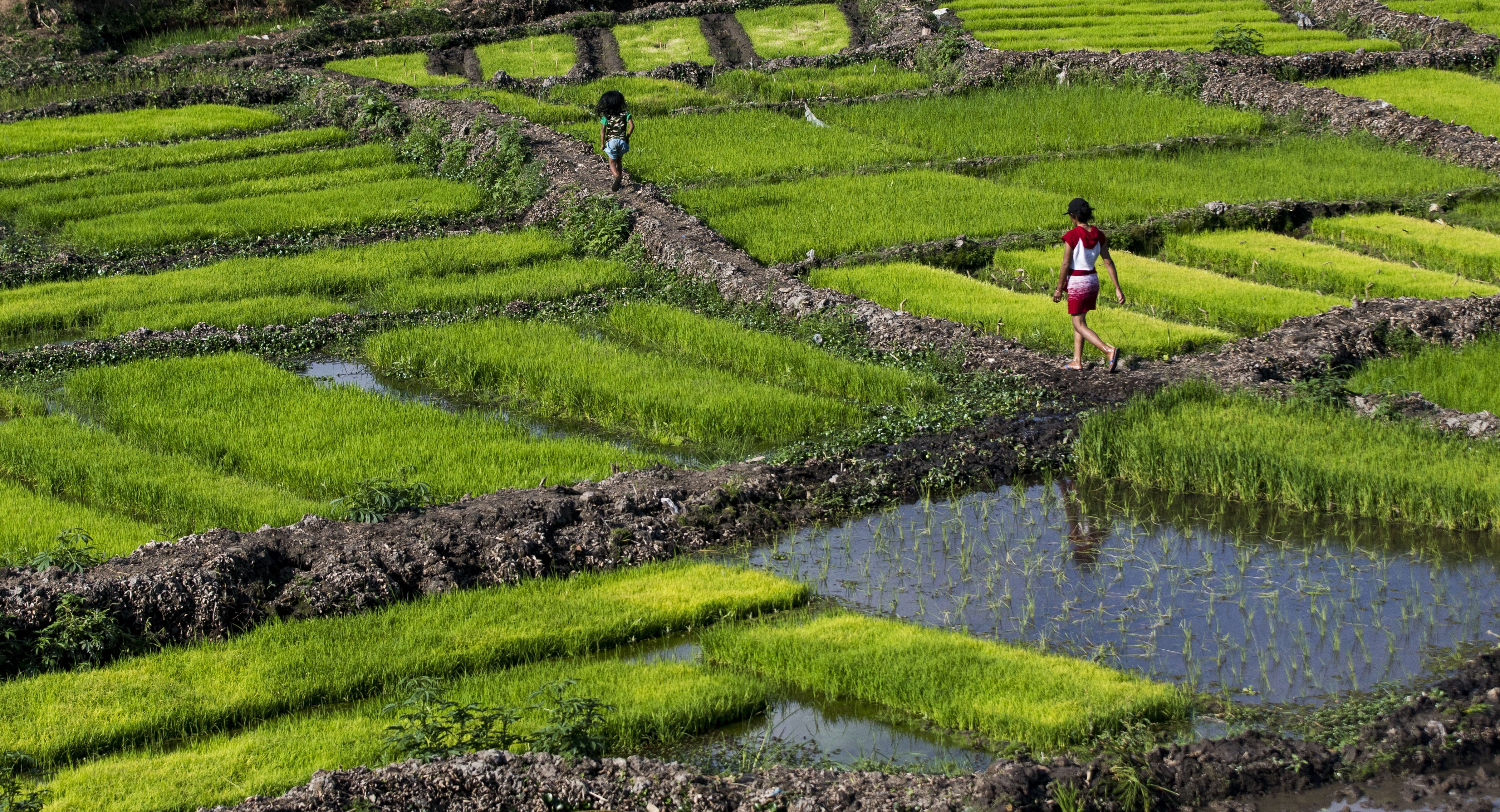 20170903_2_25552389_25516380