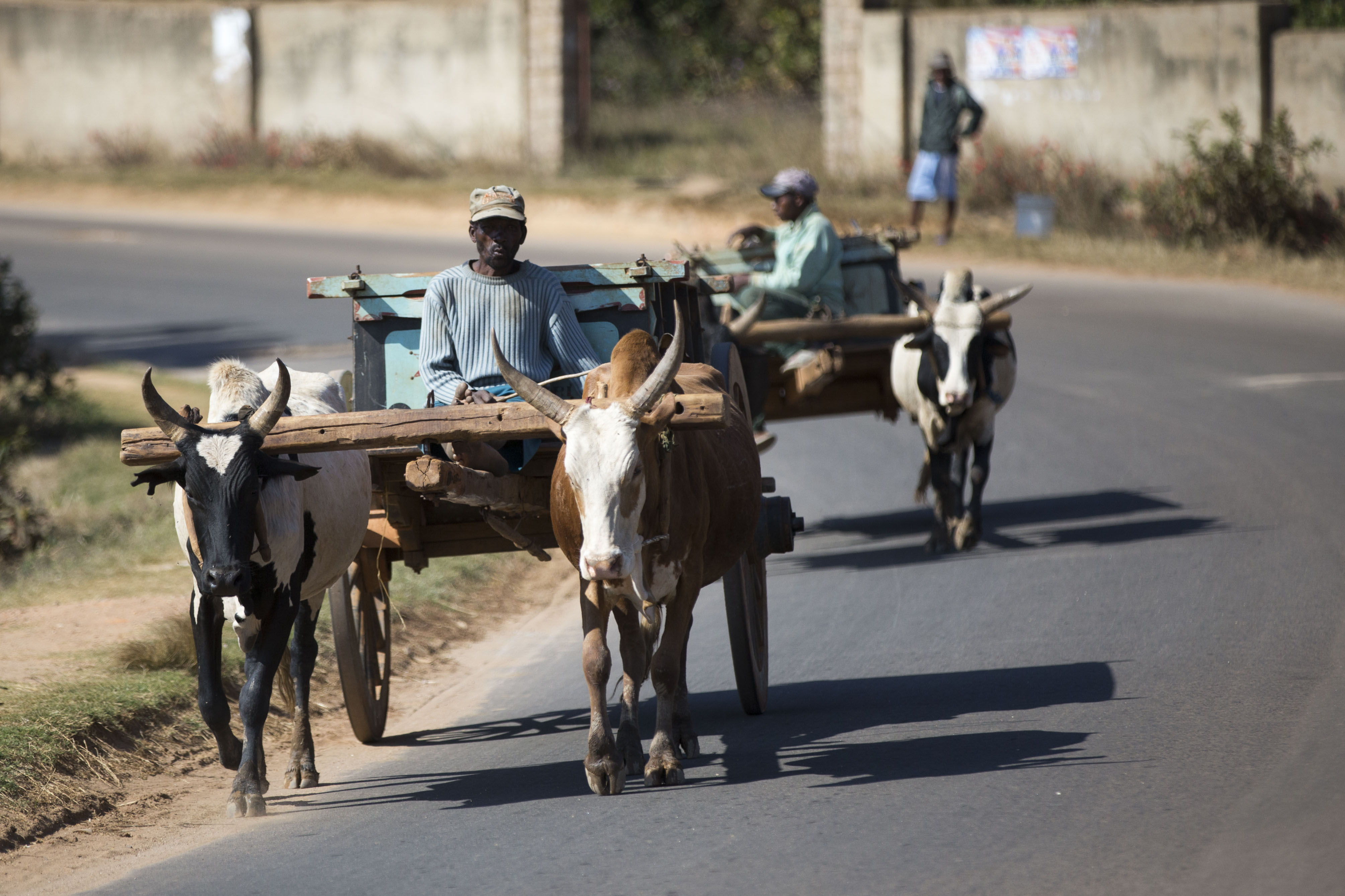 20170903_2_25552389_25516381