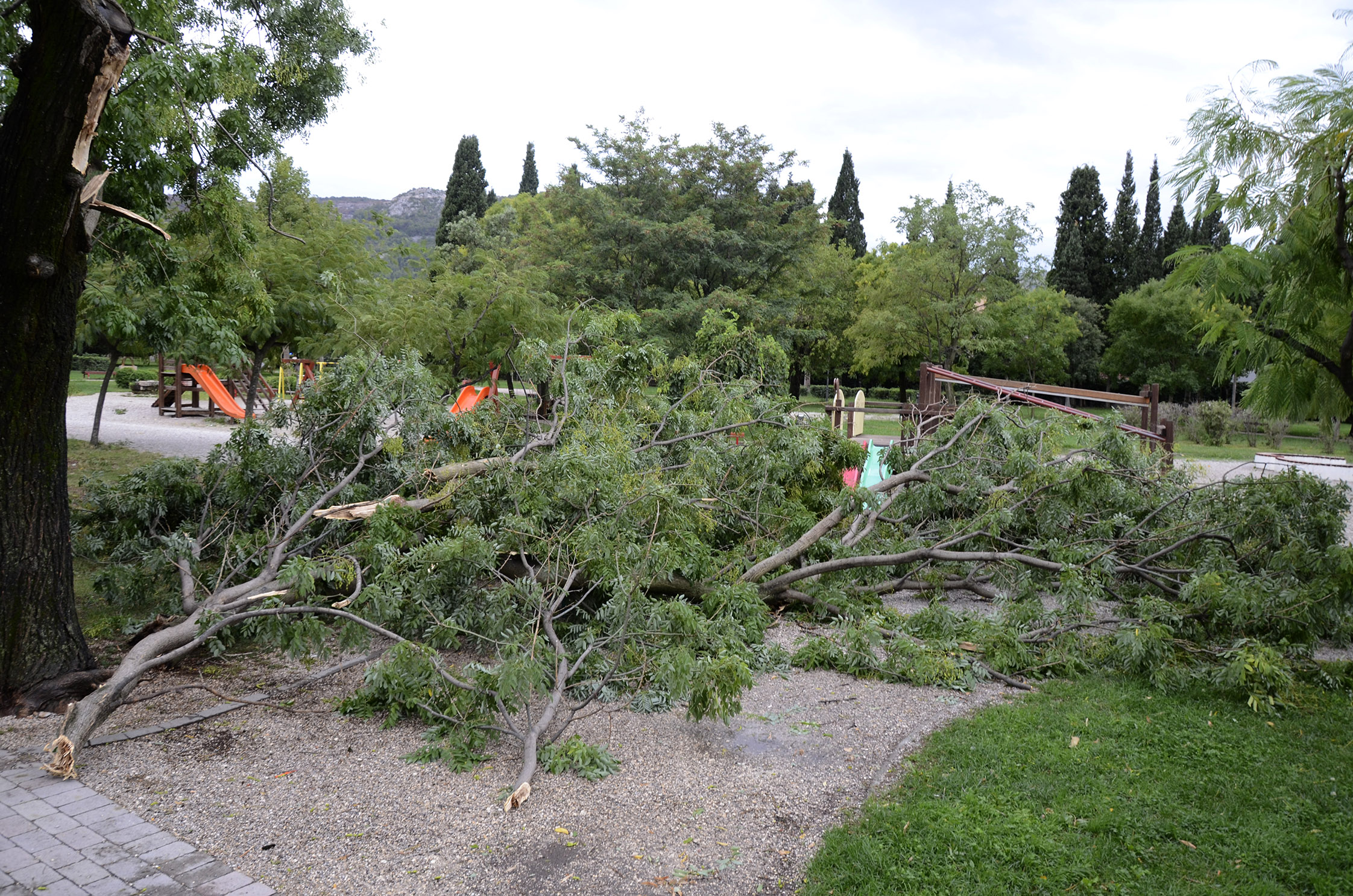 20170911_2_25680022_25762301