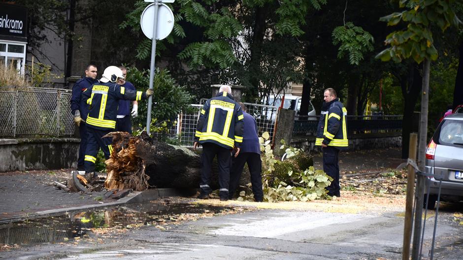 20170911_2_25680022_25762302