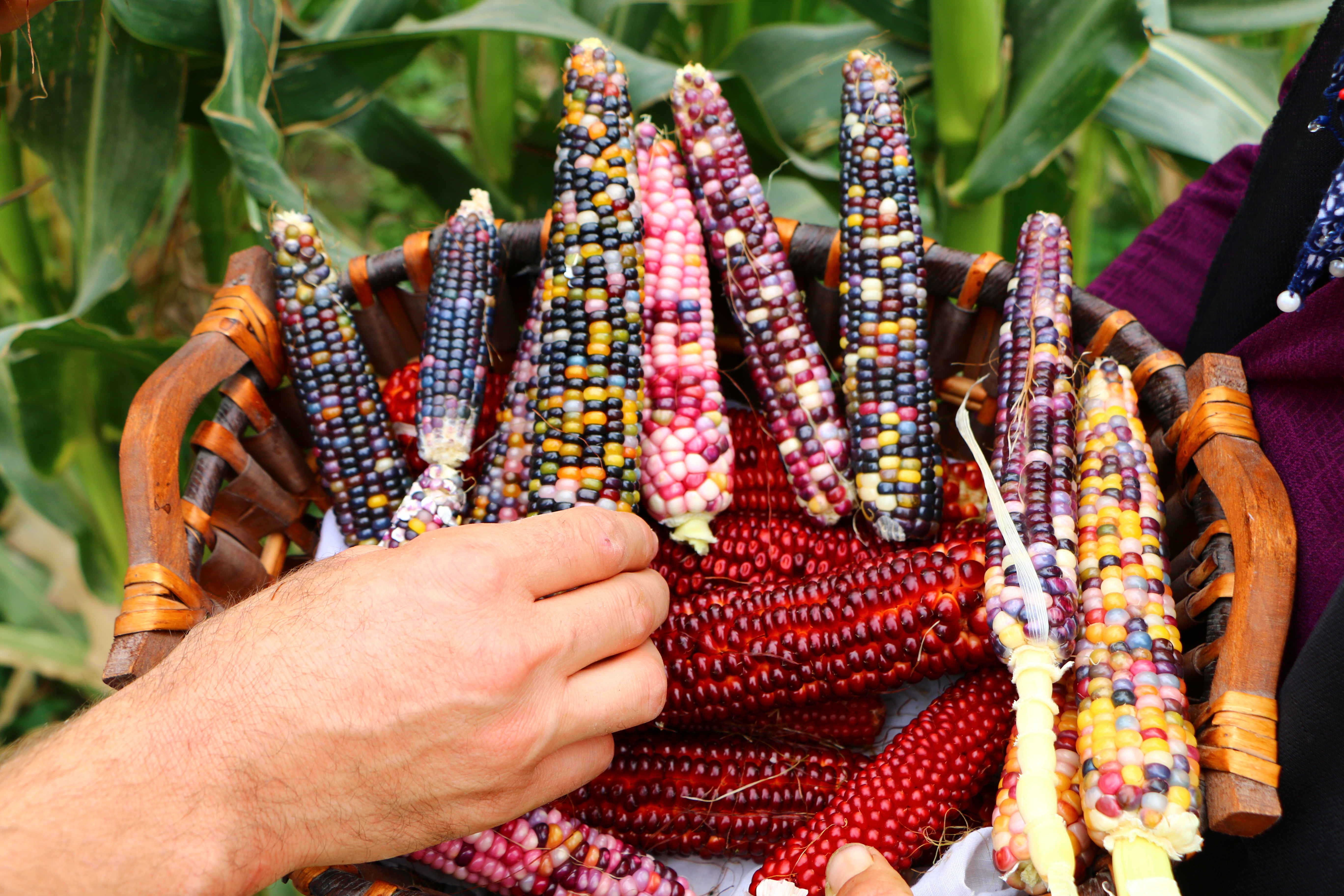 20170921_2_25864636_26078053