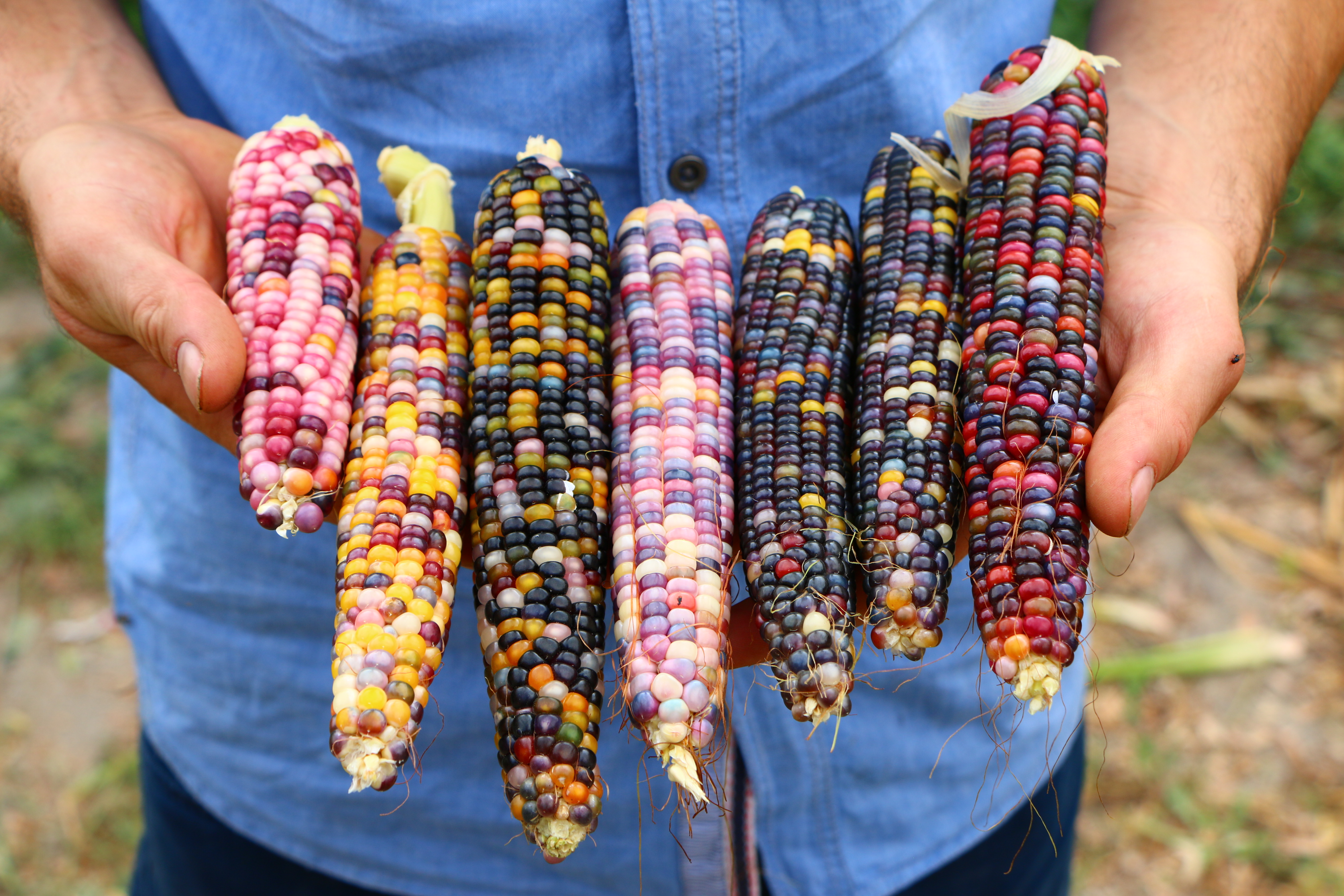 20170921_2_25864636_26078064